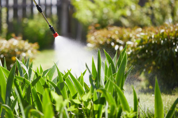 Tamper-Resistant Bait Stations for Rodents in Scotland Neck