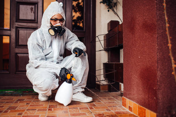 Attic and Crawl Space Rodent Treatment in Scotland Neck