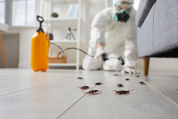 Commercial Rodent Management in Scotland Neck